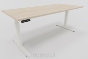 Dąb arctic-biały