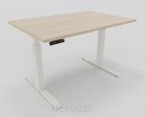 Dąb Arctic-biały