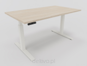 Dąb arctic-biały